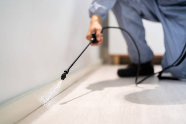 Licensed Pest Control service in Sperry, OK - Show Me Pest Control